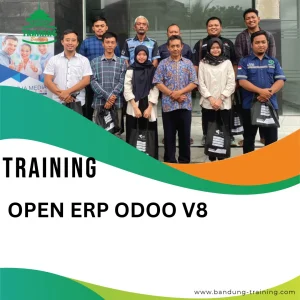 TRAINING OPEN ERP ODOO V8