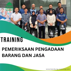 TRAINING PEMERIKSAAN PENGADAAN BARANG DAN JASA