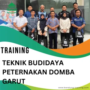 TRAINING TEKNIK BUDIDAYA PETERNAKAN DOMBA GARUT