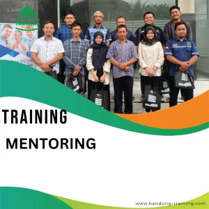 TRAINING MENTORING