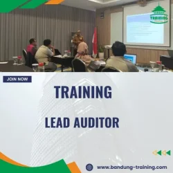 Training Auditor Skill