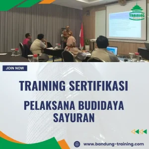 Sertifikasi Perkebunan Sayur