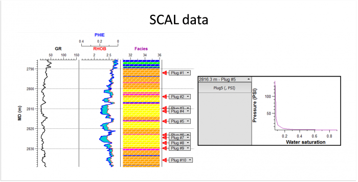 Effective Use of Relative Permerability & SCAL Data