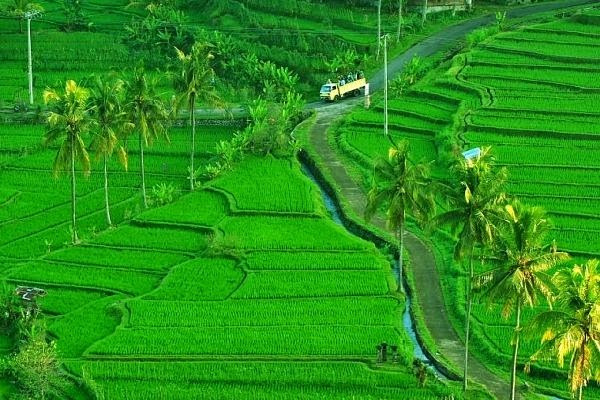 PRINSIP PENGADAAN TANAH BERDASARKAN UU No. 2 Tahun 2012