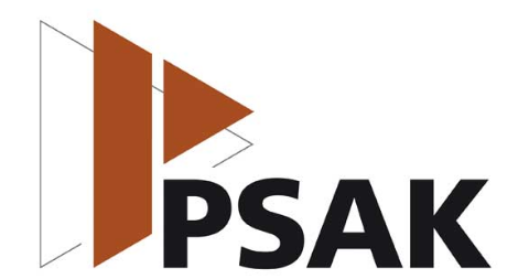 Penerapan PSAK 50 dan PSAK 55