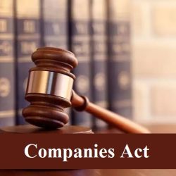 UNDANG-UNDANG PERSEROAN TERBATAS