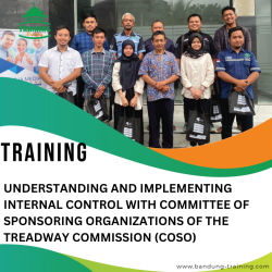 TRAINING UNDERSTANDING COSO