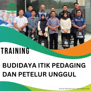 TRAINING BUDIDAYA ITIK PEDAGING DAN PETELUR UNGGUL