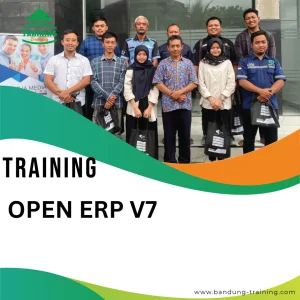 Training Open ERP V7