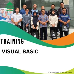 Training Visual Basic