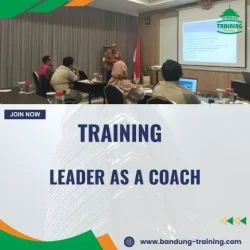 Training Mentoring and Coaching