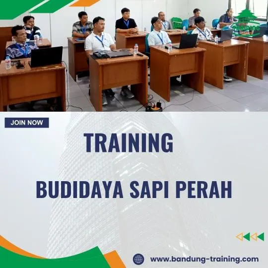 Training Ternak Sapi Perah